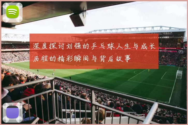 深度探讨刘强的乒乓球人生与成长历程的精彩瞬间与背后故事